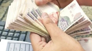 بالرقم القومي.. خطوات الاستعلام عن صرف معاش تكافل وكرامة عبر موقع الوزارة